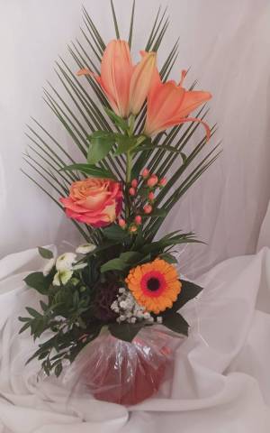 Bouquet structur hauteur en bulle deau orange