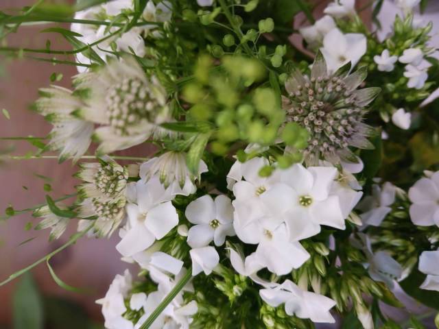 Bouquet de fleurs coupes varies blanches